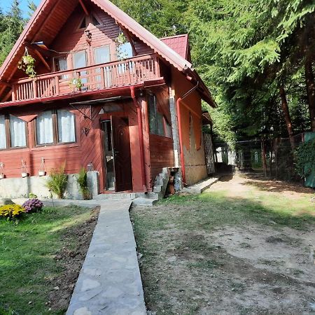 Casuta Paterau Cheia, Prahova Villa เฮยา ภายนอก รูปภาพ