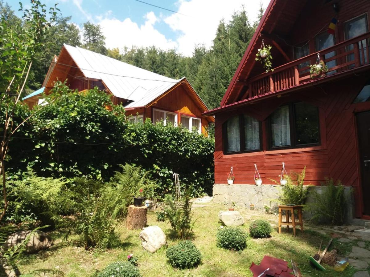 Casuta Paterau Cheia, Prahova Villa เฮยา ภายนอก รูปภาพ