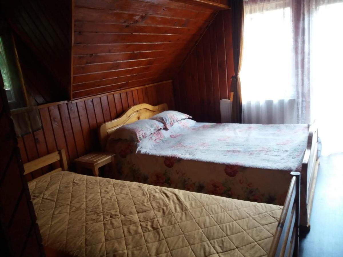 Casuta Paterau Cheia, Prahova Villa เฮยา ภายนอก รูปภาพ