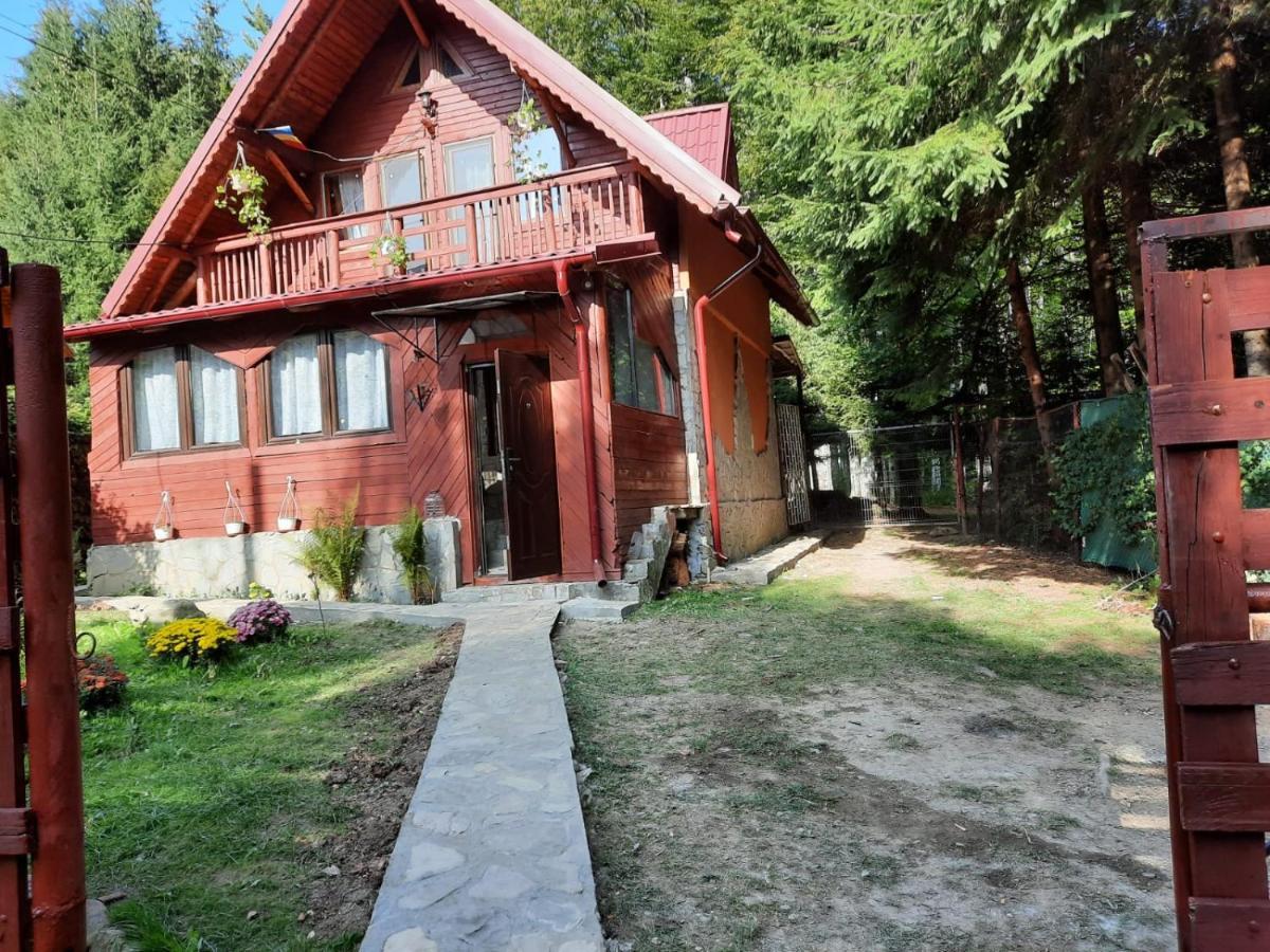 Casuta Paterau Cheia, Prahova Villa เฮยา ภายนอก รูปภาพ